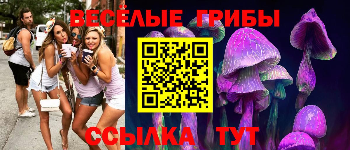 Псилоцибиновые грибы Psilocybine cubensis Верхняя Пышма
