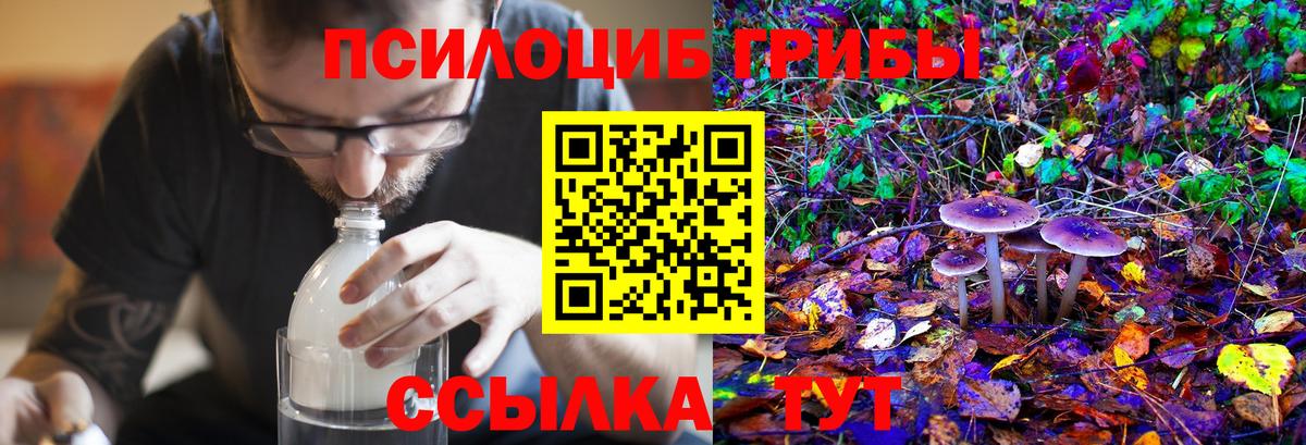 Галлюциногенные грибы MAGIC MUSHROOMS  Вход с VPN  Верхняя Пышма 